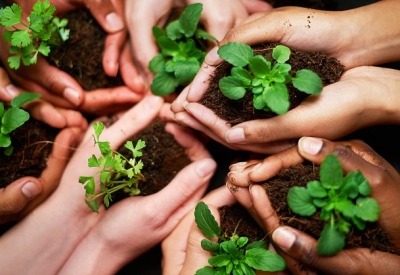green_madison_eco